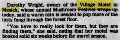 Village Motel (Manistee Crossing Family Resort) - May 1988 Article (newer photo)